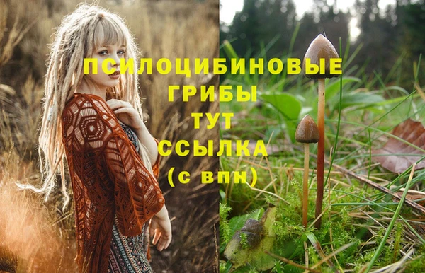 тгк Алексеевка